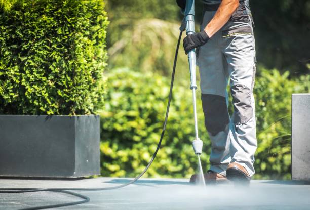 Best Soft Washing for Delicate Surfaces in Berkeley, IL